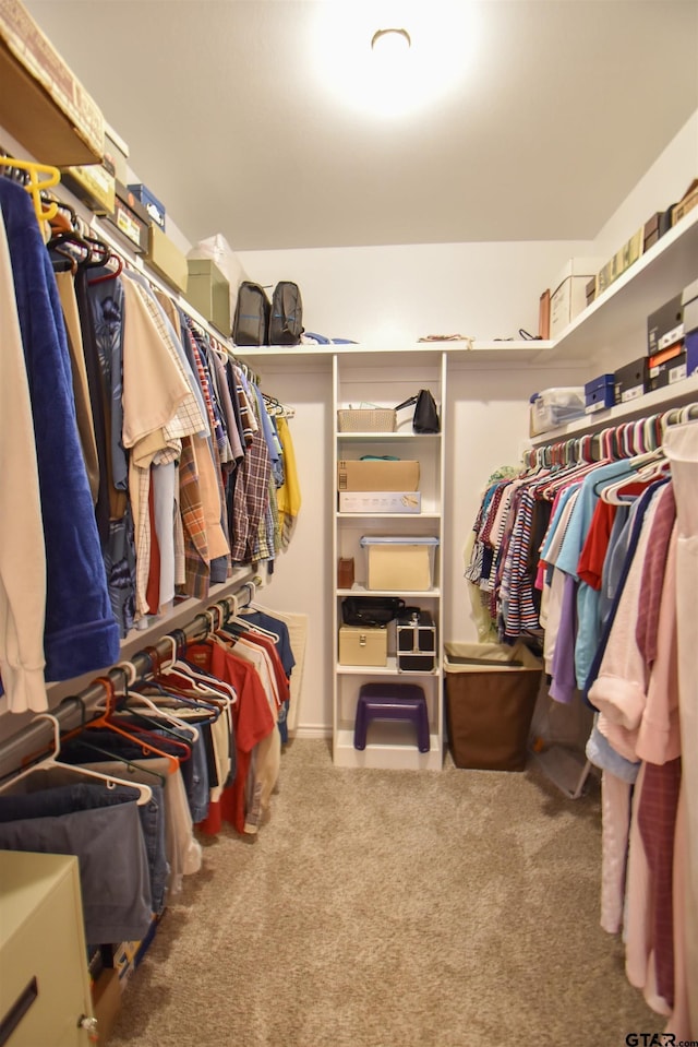 walk in closet featuring carpet floors