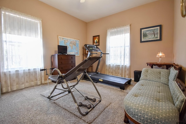 exercise room with carpet flooring