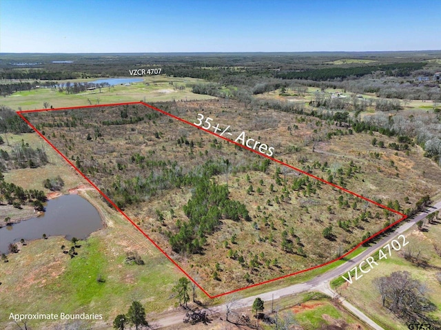 000 Vz County Road 4702, Ben Wheeler TX, 75754 land for sale