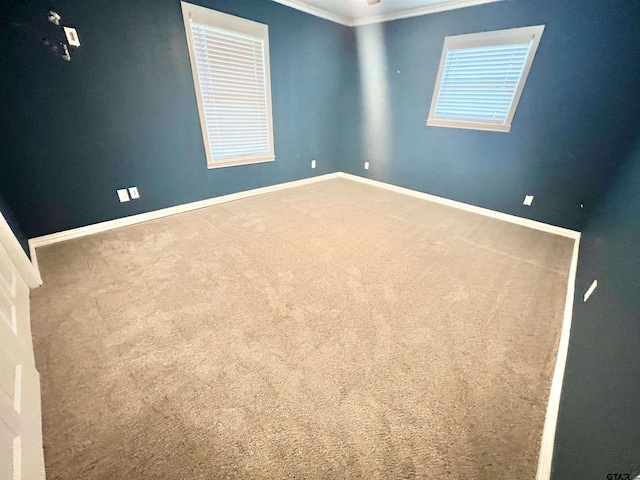 spare room featuring ornamental molding and carpet floors