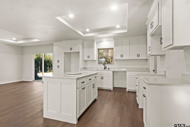 kitchen featuring dark wood-type flooring, white cabinets, a raised ceiling, sink, and a kitchen island