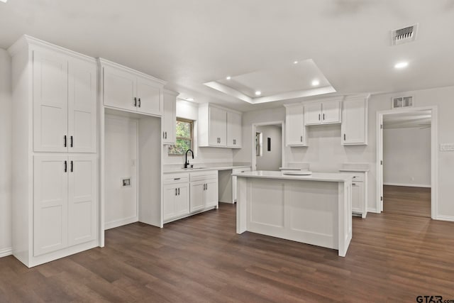 kitchen featuring white cabinets, dark hardwood / wood-style flooring, a tray ceiling, and a kitchen island