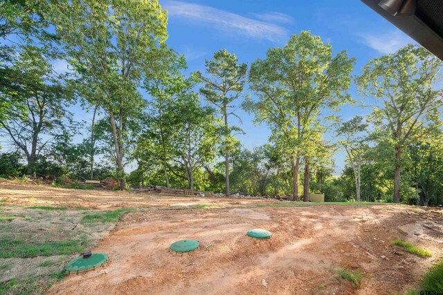 12134 Oak Grove Dr, Tyler, TX 75706 - photo 41