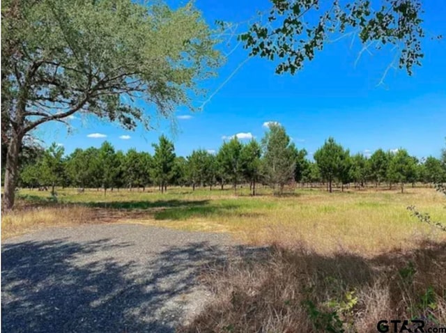 2323 Finch Rd, Gilmer TX, 75644 land for sale