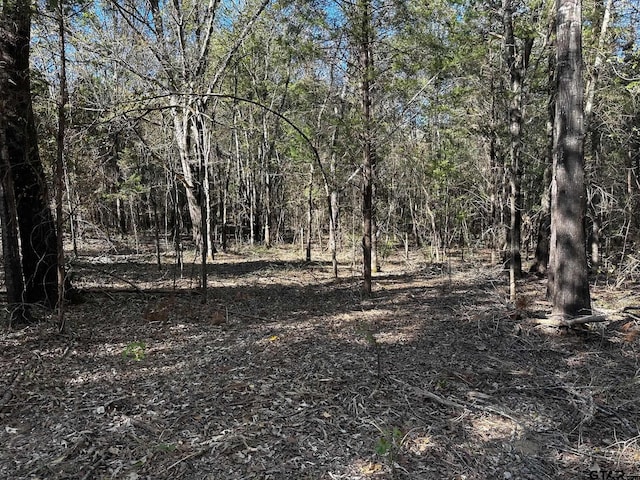TRACTJ/500 Private Road 8507, Van, TX 75790 - photo 4