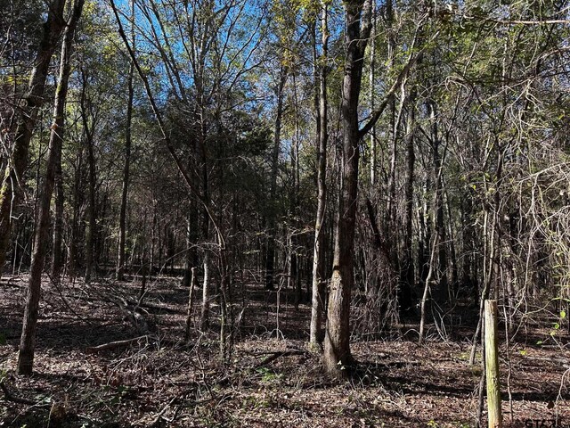 TRACTJ/500 Private Road 8507, Van, TX 75790 - photo 8