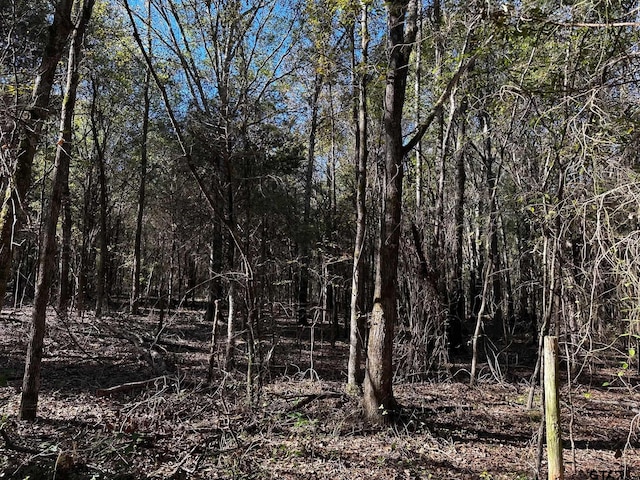 TRACTJ/500 Private Road 8507, Van, TX 75790 - photo 6