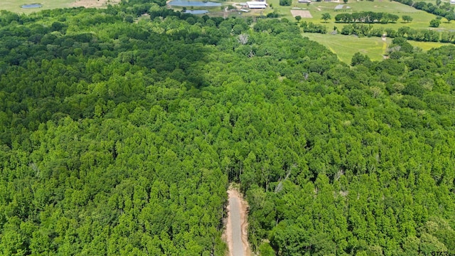 TRACTJ/500 Private Road 8507, Van, TX 75790 - photo 14