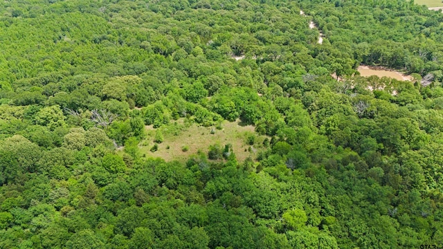 TRACTJ/500 Private Road 8507, Van, TX 75790 - photo 13