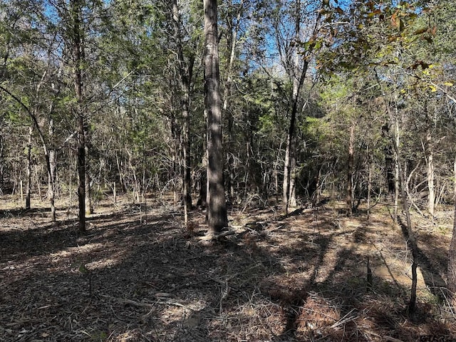 TRACTJ/500 Private Road 8507, Van, TX 75790 - photo 5