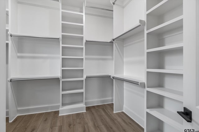 spacious closet featuring dark hardwood / wood-style flooring