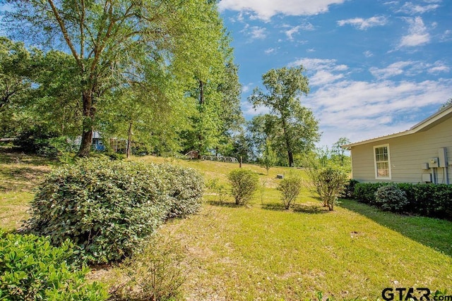 view of yard