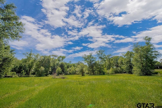 view of landscape