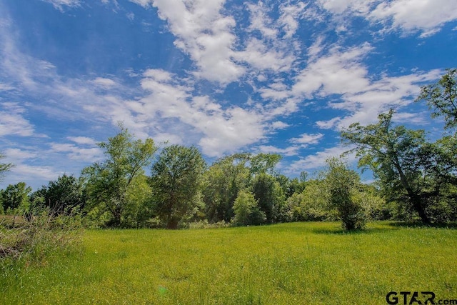 view of local wilderness