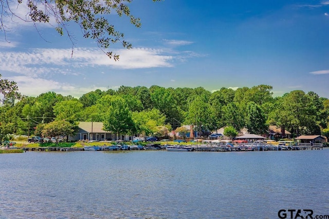 1531 W Hideaway Ln, Hideaway, TX 75771 - photo 38