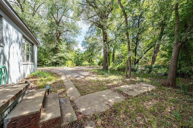 view of yard with a patio