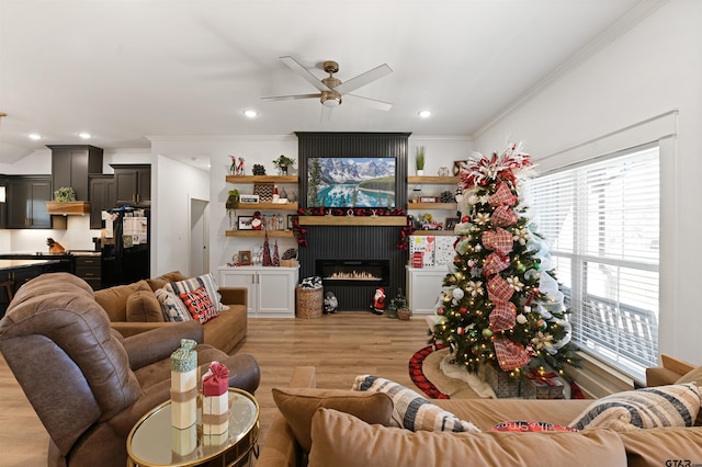 living room featuring ceiling fan, a large fireplace, light wood-type flooring, and crown molding