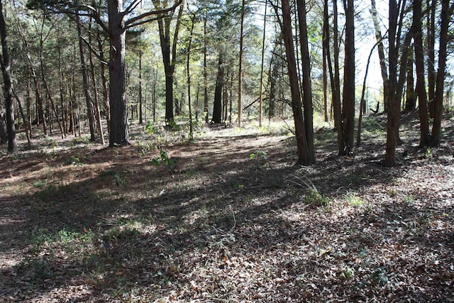 view of local wilderness