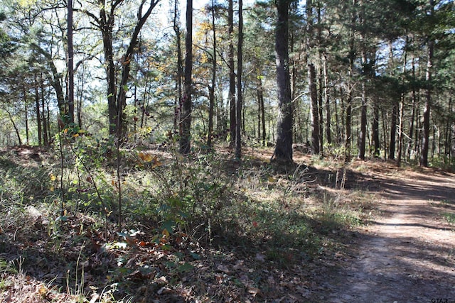 view of local wilderness