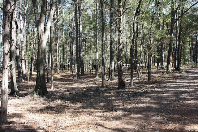 view of landscape