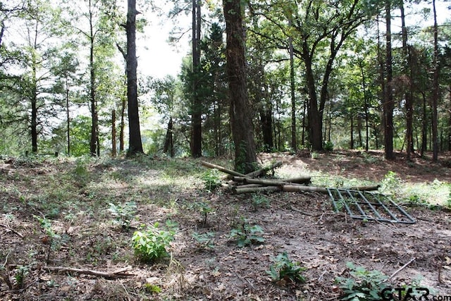 view of landscape