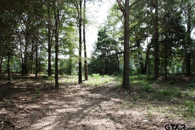 view of local wilderness