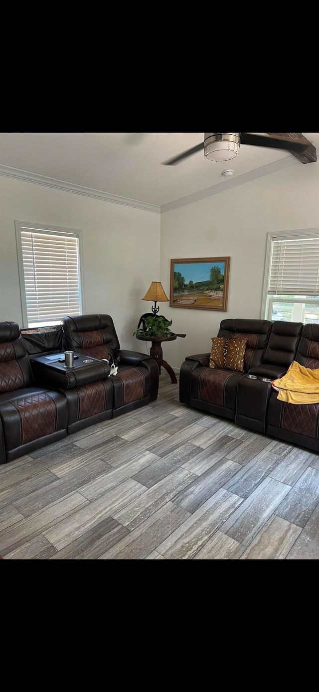 living room with light hardwood / wood-style floors, ceiling fan, and ornamental molding