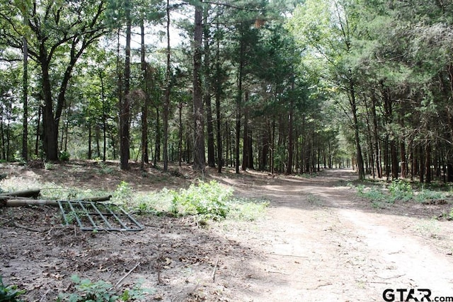 view of local wilderness