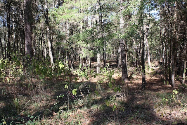 view of local wilderness