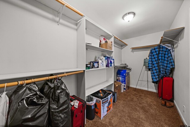 spacious closet featuring dark colored carpet