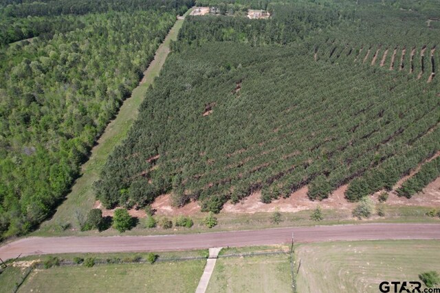 TBD-G Lincoln Springs Road, Gladewater, TX 75647 - photo 3