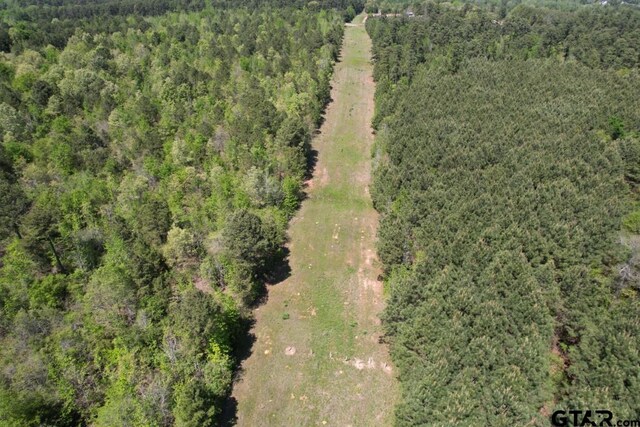 TBD-G Lincoln Springs Road, Gladewater, TX 75647 - photo 6