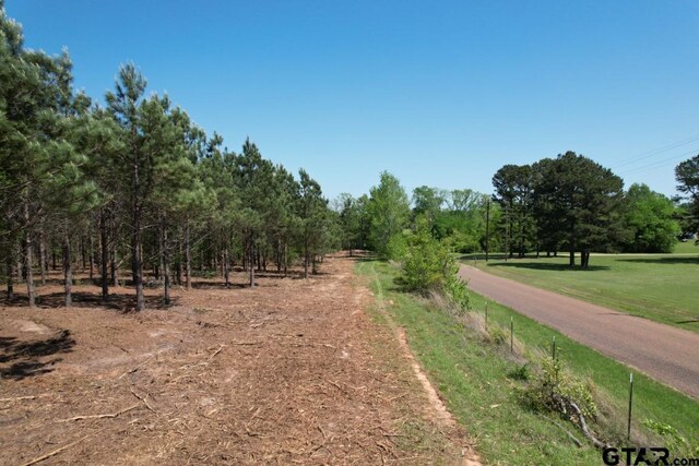 TBD-G Lincoln Springs Road, Gladewater, TX 75647 - photo 9