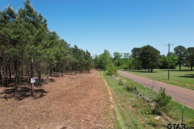 TBD-G Lincoln Springs Road, Gladewater, TX 75647 - photo 2