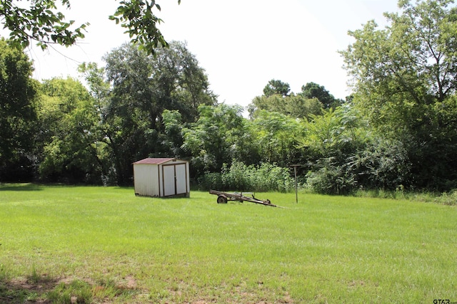 view of yard with a storage unit