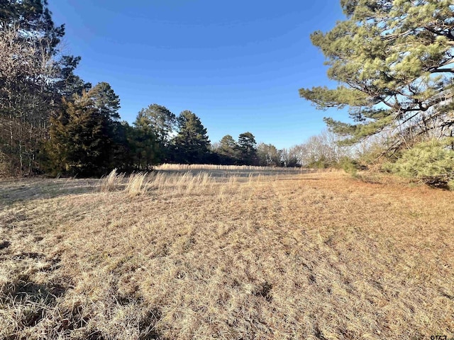 Listing photo 2 for TBD Cr 4122, Simms TX 75574