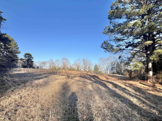 Listing photo 3 for TBD Cr 4122, Simms TX 75574