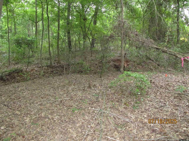 586 Crescent, Bullard, TX 75757 - photo 7