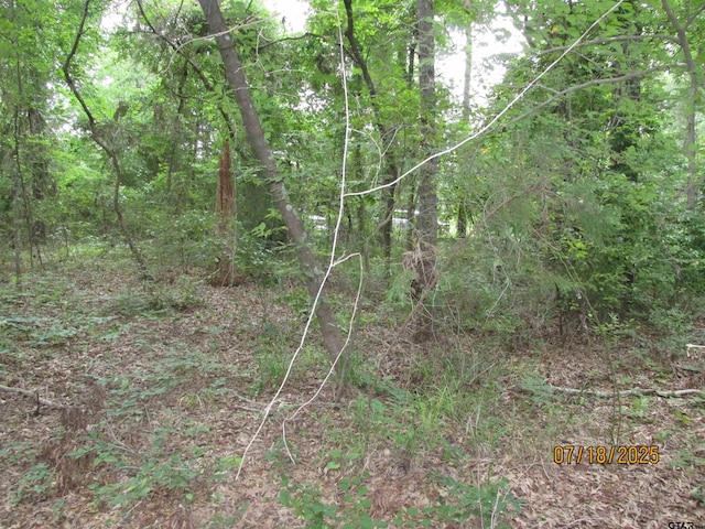 586 Crescent, Bullard, TX 75757 - photo 6