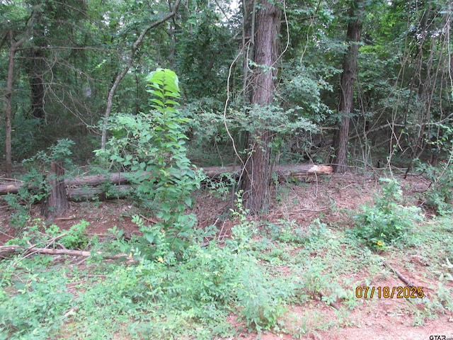 586 Crescent, Bullard, TX 75757 - photo 2