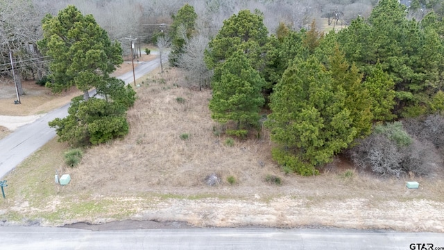 LOT65 Durango Path, Holly Lake Ranch TX, 75765 land for sale