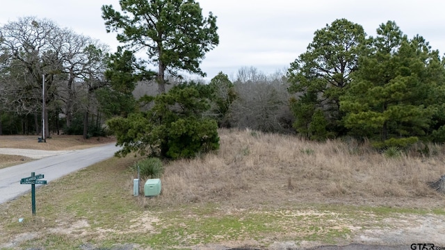 Listing photo 2 for LOT65 Durango Path, Holly Lake Ranch TX 75765