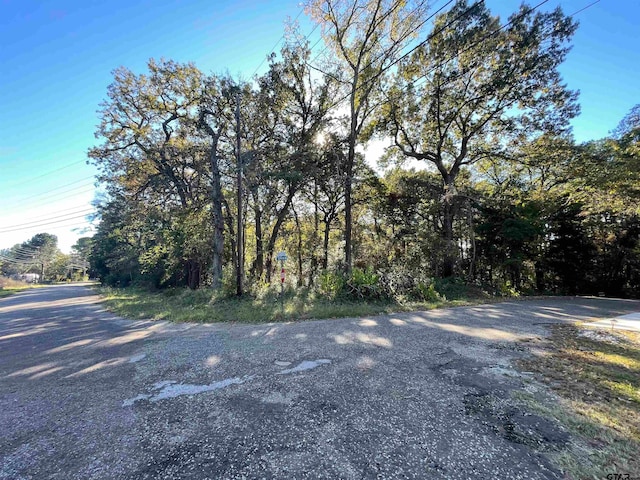 333 Neches Dr, Bullard TX, 75757 land for sale