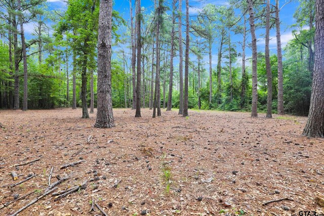 10114 C R 272, Tyler, TX 75707 - photo 17