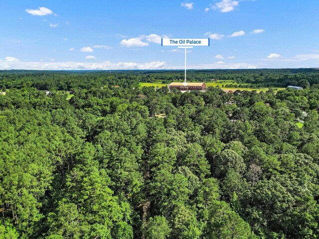 10114 C R 272, Tyler, TX 75707 - photo 9