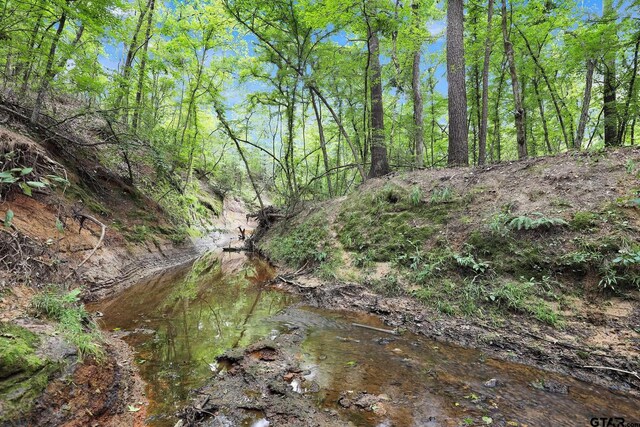 10114 C R 272, Tyler, TX 75707 - photo 25