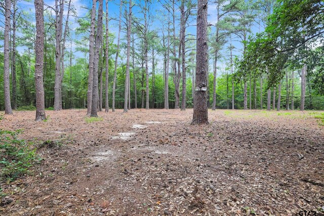 10114 C R 272, Tyler, TX 75707 - photo 19