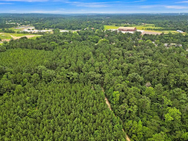 10114 C R 272, Tyler, TX 75707 - photo 34