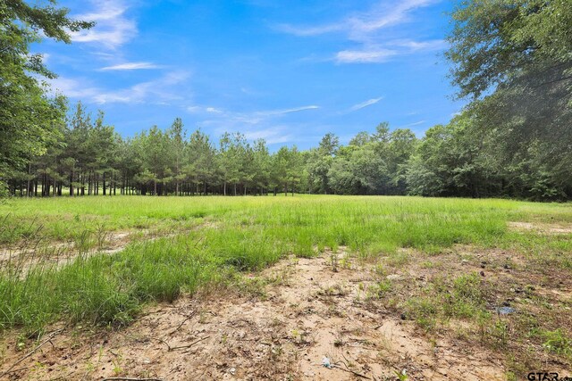 10114 C R 272, Tyler, TX 75707 - photo 14
