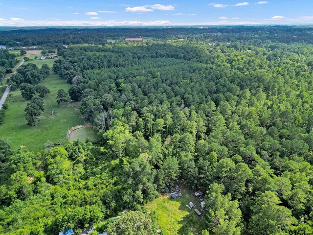 10114 C R 272, Tyler, TX 75707 - photo 1